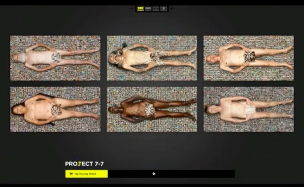 Protect 7-7 website