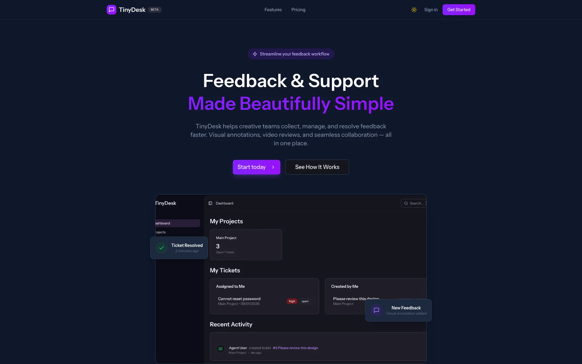 TinyDesk homepage with the title Feedback and Support Made Beautifully Simple and a preview of the dashboard