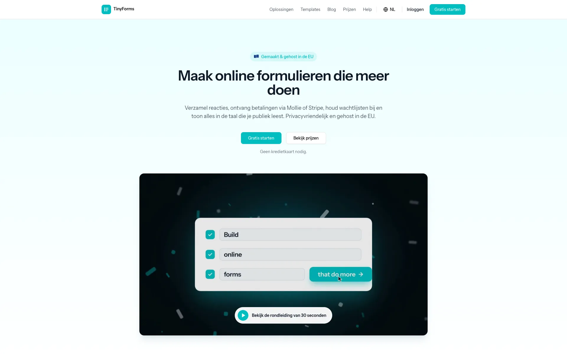 TinyForms homepage with the headline about online forms that do more